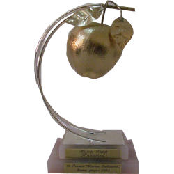 marisa-bellisario-award